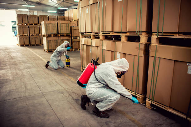 Best Bed Bug Extermination  in Wink, TX