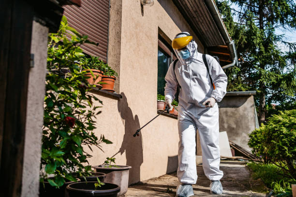 Flea Control Services in Wink, TX