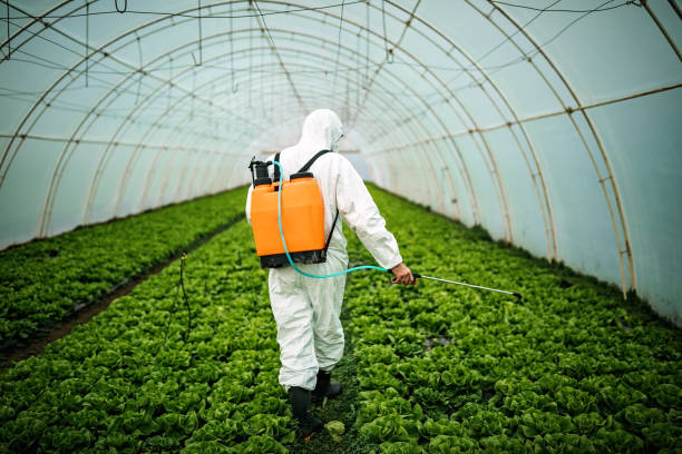 Best Local Pest Control Services  in Wink, TX