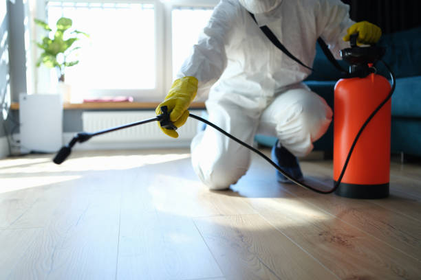 Pest Control for Restaurants in Wink, TX
